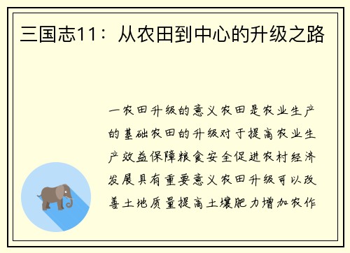 三国志11：从农田到中心的升级之路